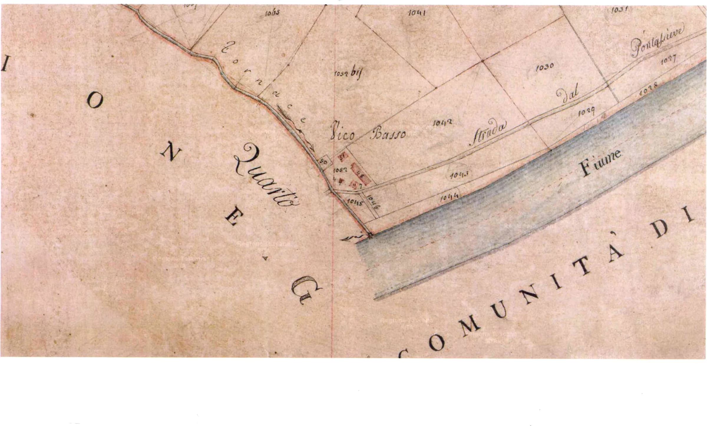 Estratto del catasto leopoldino del 1820 con il podere Vico Basso lungo il fiume